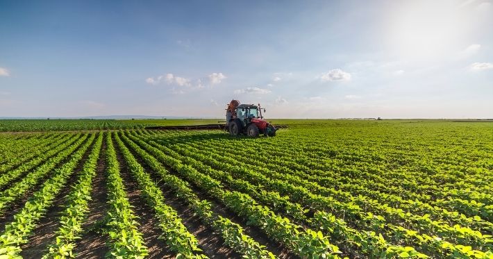 Agro Negócio: A Espinha Dorsal da Economia Brasileira